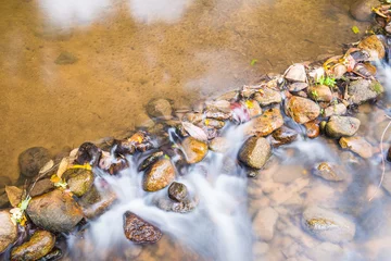 Deurstickers Water Flowing in Natural Park © Kobchai M.