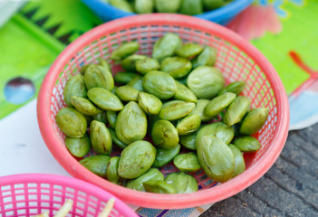 Archidendron jiringa