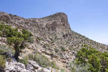 Fototapeta premium Turtle Head Peak in Red Rock National Conservation Area, Nevada
