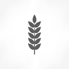 wheat icon
