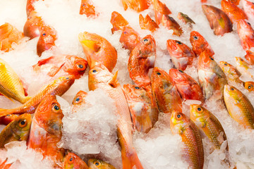 Obraz na płótnie Canvas Red snapper fish in wet market