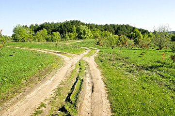 Дорога в лес