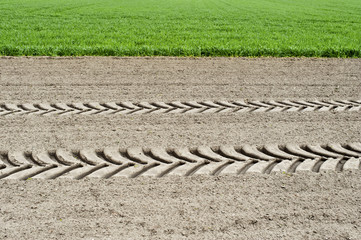 Traktorspur auf dem Feld