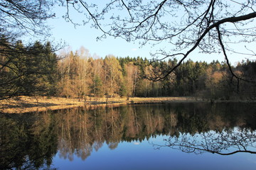 Obraz premium Waldsee bei ruhigem Wasser mit Spiegelungen