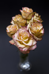 Rosen