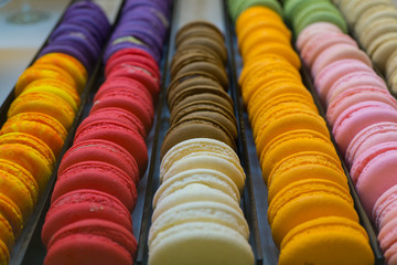 french colorful macarons