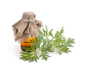 Artemisia absinthium with pharmaceutical bottle.