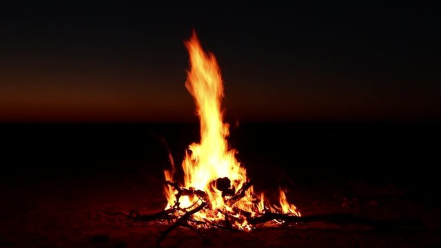 Outdoor wood campfire burning brightly during the darkness of nighttime