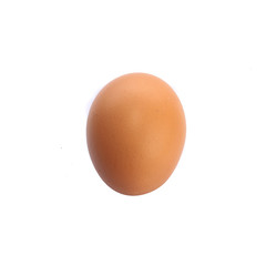 
egg on white background
