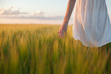 Naklejka premium woman touching wheat ear in wheat field