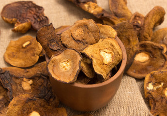 Dried mushrooms on canvas