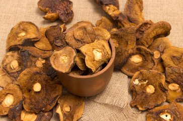 Dried mushrooms on canvas