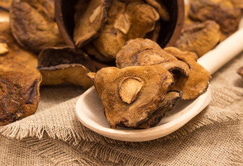 Dried mushrooms on canvas