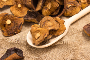 Dried mushrooms on canvas