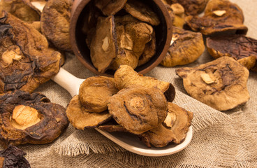 Dried mushrooms on canvas