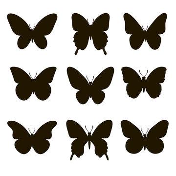 Set of silhouettes of butterflies on a white background. 