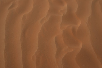 Texture. wave effect on sahara sand, Egypt