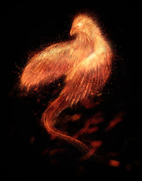 Burning bird phoenix  isolated
