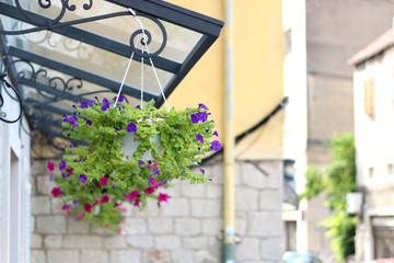 Fototapeta na wymiar Flowers in a decorative hanging pot. On the streets of Split Croatia. Selective focus.
