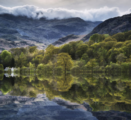 Forest landscape reflected in calm water of Consiton Water in La