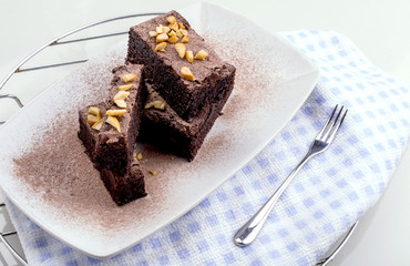 Fresh Homemade Chocolate Brownie