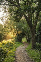 Stunning beautiful sunrise landscape over river on Summer mornin