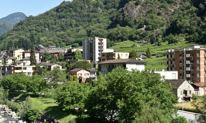 Obraz premium versant sud des alpes...tessin