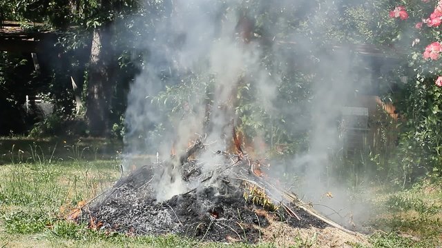 Feu , Fum&eacute;e , jardinage