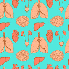 Sketch internal organs in vintage style