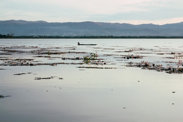 Naklejka premium Kwan Phayao,Lake in Thailand