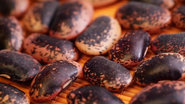 HD 1080 closeup: beans seed at rotating display