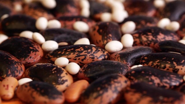 HD 1080 closeup: beans seed at rotating display
