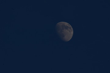 Obraz premium Mond