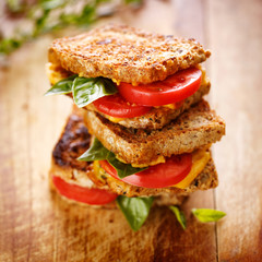 Toasts with tomato cheese and basil