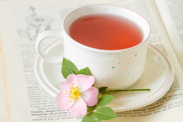 Cup of tea with rose hips flower