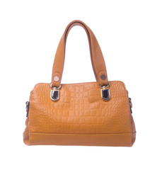 bag. brown colour fashion woman bag on a background.