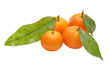 Four tangerines with green leafes.Isolated.