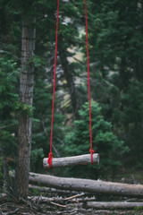 Tree Swing
