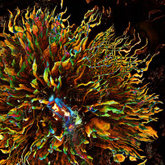 Fairy tale.Futuristic multicolored jellyfish in darkness.
