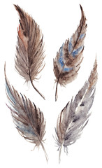 Watercolor vector pair feather set isolated