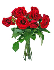 Naklejka premium Rosenstrauß