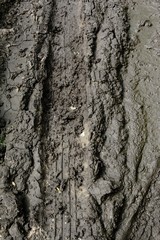 Imprint of an automobile tire on terrain