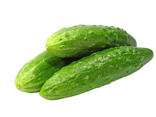 Three fresh green cucumbers taken closeup.Isolated.
