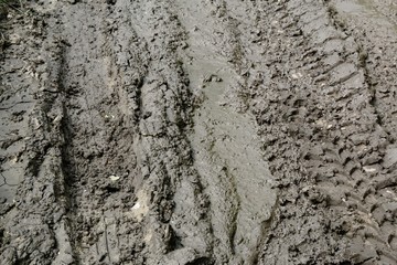 Imprint automobile tires on dirt