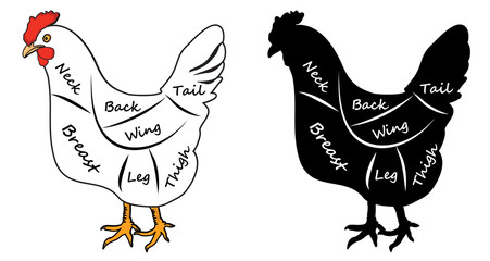 Diagram cut carcass of chicken silhouette and illustration vector