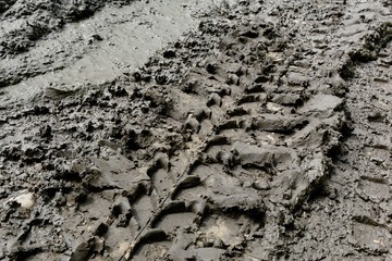 Imprint automobile tires on dirt
