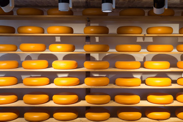 Cheese Wheels 
