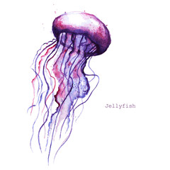 Obraz premium Vector watercolor jellyfish