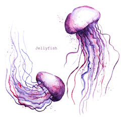 Naklejka premium Vector watercolor jellyfish