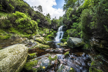 Mountain canyon with beautiful waterfall surrounded by rocks, green moss and trees and river flowing